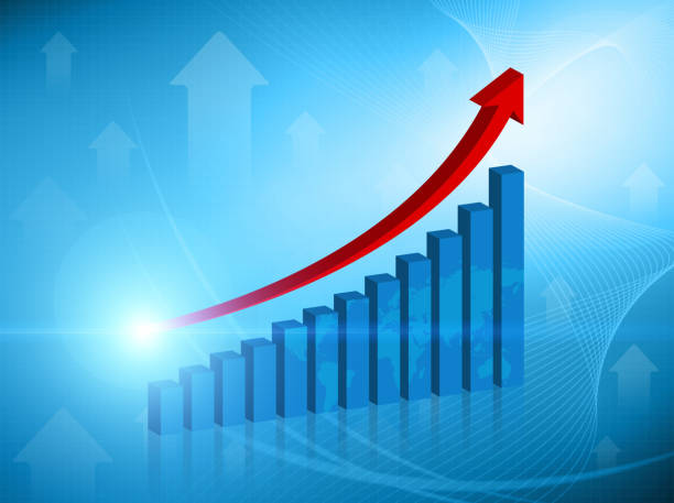 Real-Time Daily Sales Insights for Curators and&nbsp;Vendors